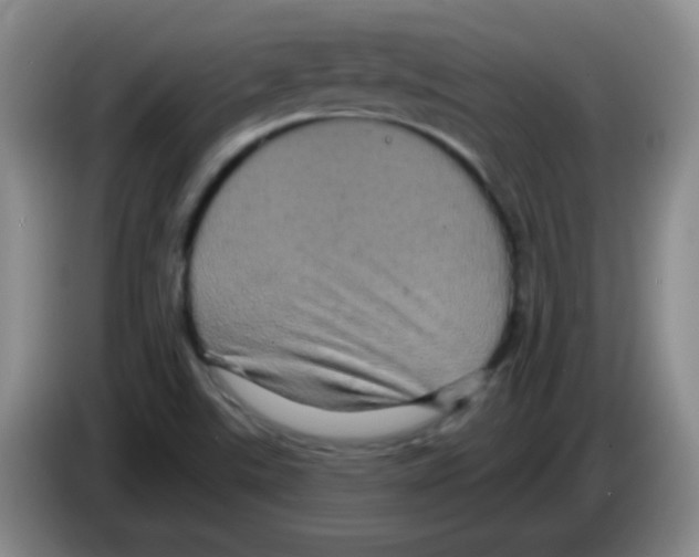 X0000083571507200703091626