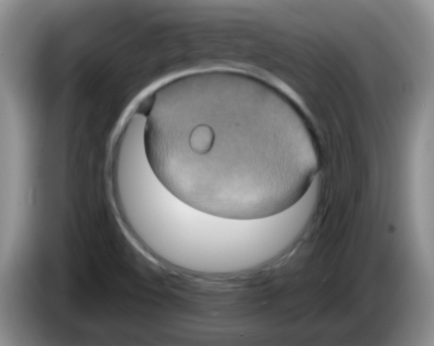 X0000083571508200703091626