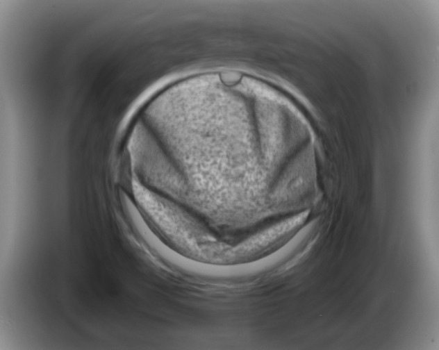 X0000083571510200703091626