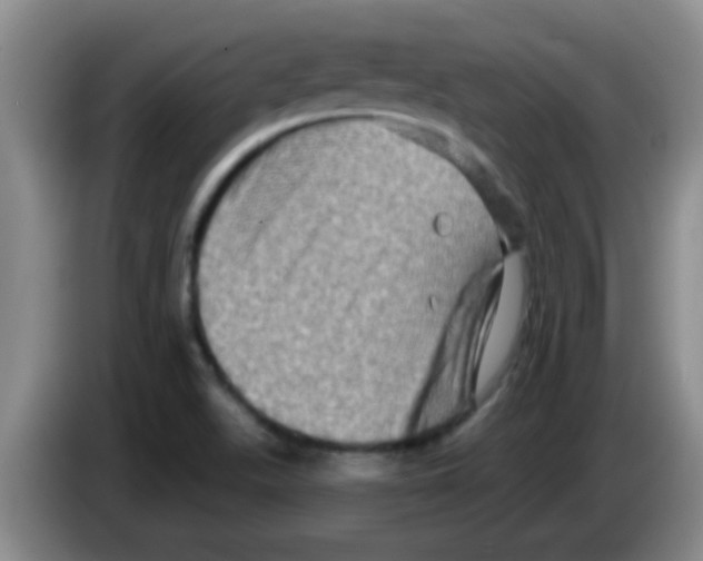 X0000083571511200703091627