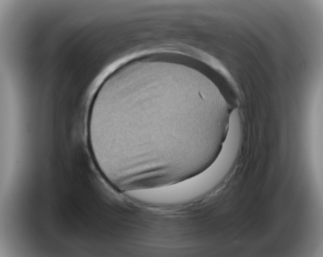 X0000083571512200703091627