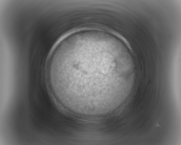 X0000083571514200703091627