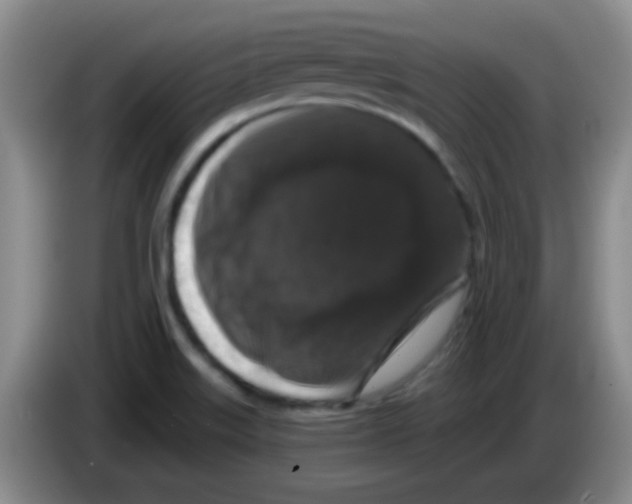 X0000083571515200703091627