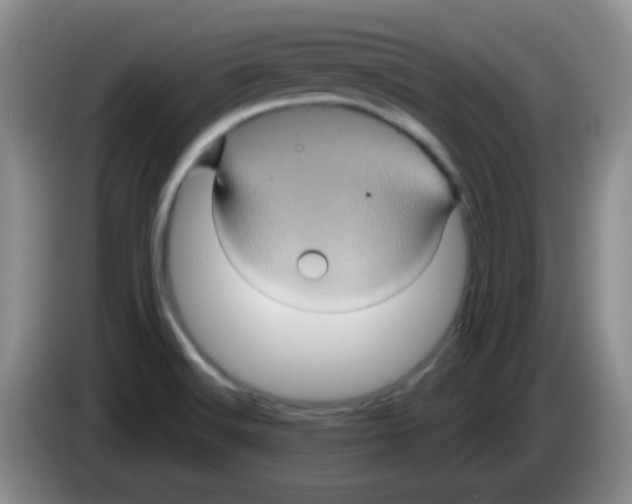 X0000083571516200703091627