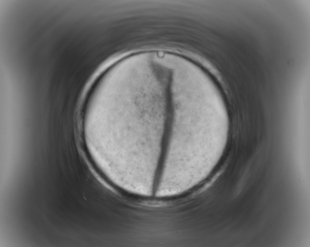 X0000083571517200703091627