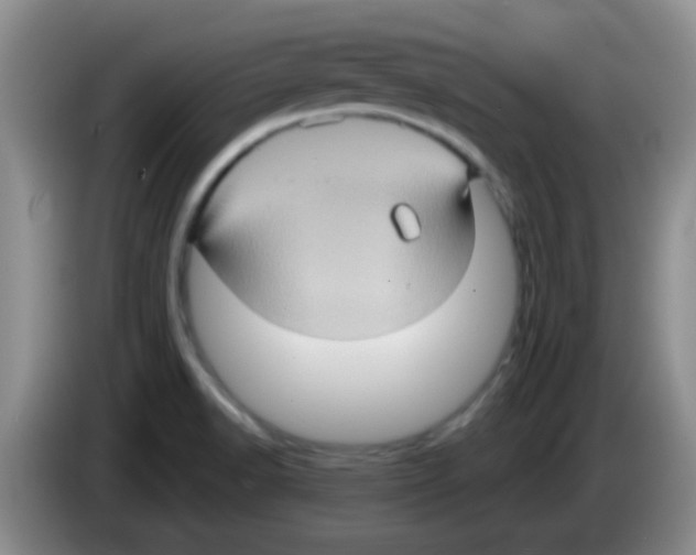 X0000083571518200703091627