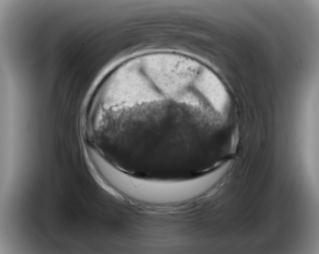 X0000083571519200703091627