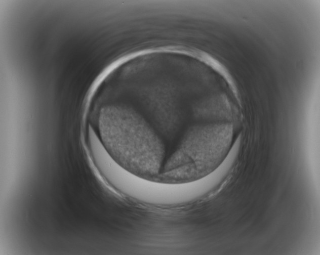 X0000083571520200703091627