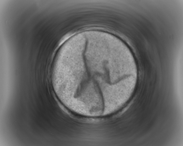 X0000083571521200703091627