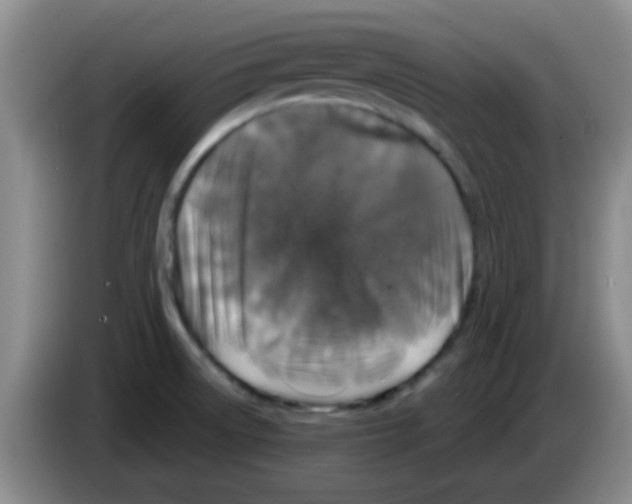 X0000083571522200703091627