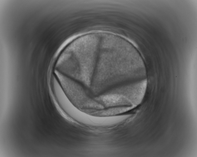X0000083571523200703091627