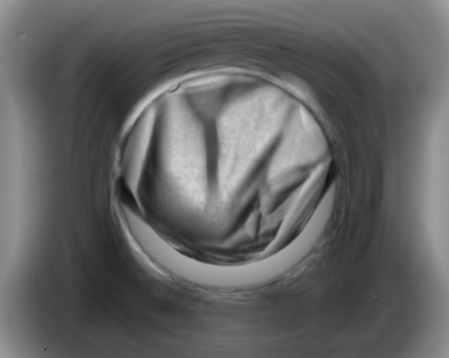 X0000083571524200703091627