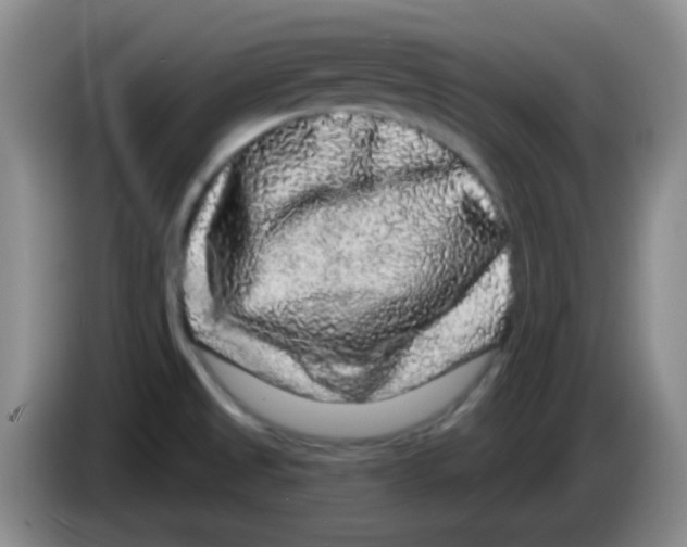 X0000083571525200703091627