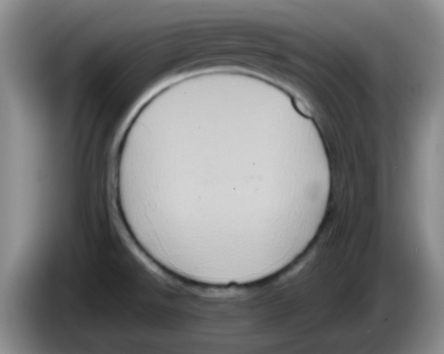 X0000083571526200703091627