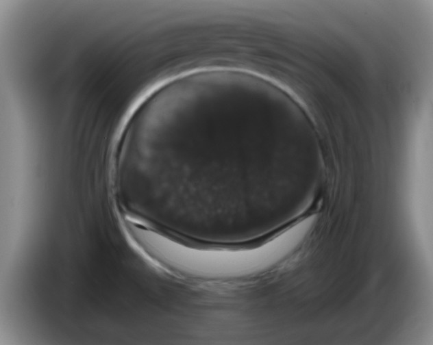 X0000083571527200703091627