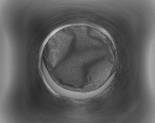 X0000083571528200703091627