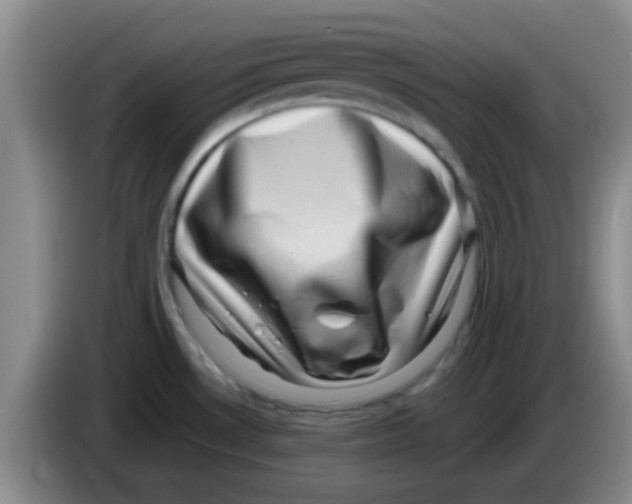 X0000083571530200703091627