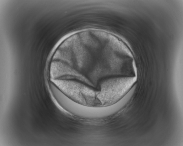 X0000083571531200703091627