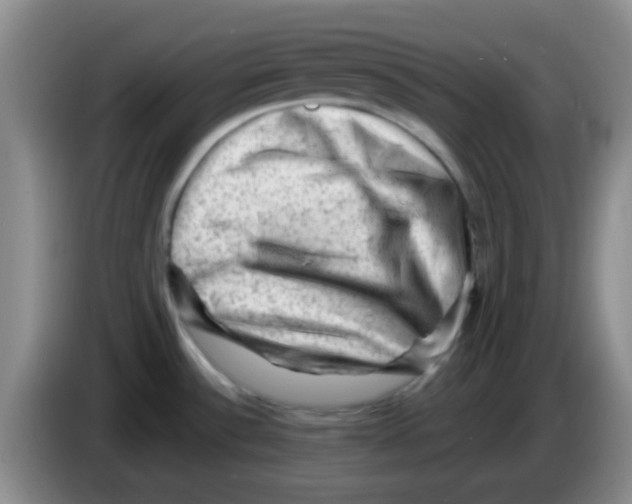 X0000083571532200703091627