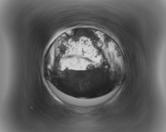 X0000083571533200703091627