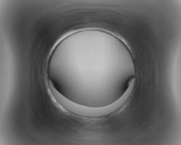 X0000083571534200703091627