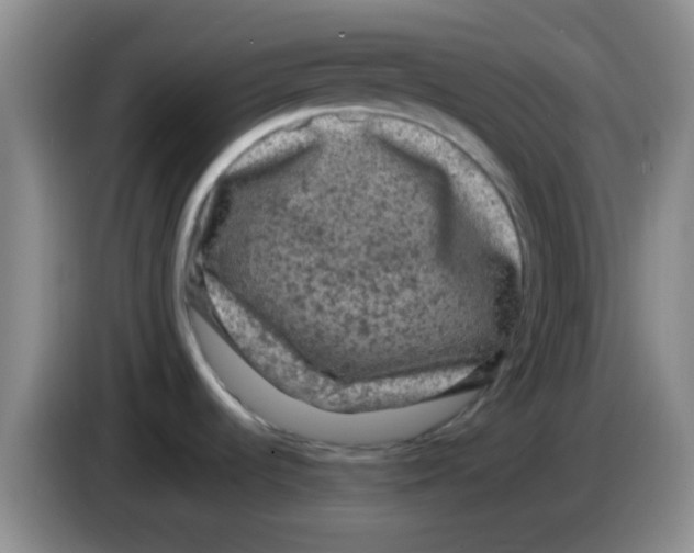 X0000083571536200703091627
