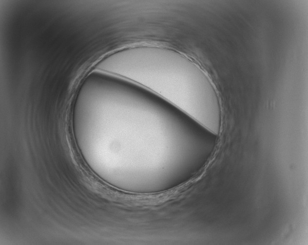 X0000083580001200702090853
