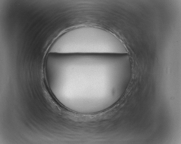 X0000083580002200702090853