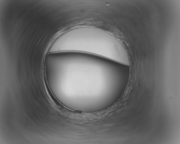 X0000083580003200702090853