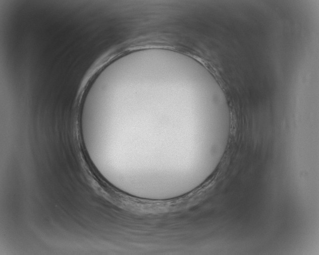 X0000083580004200702090853