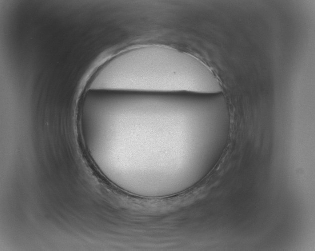 X0000083580006200702090853