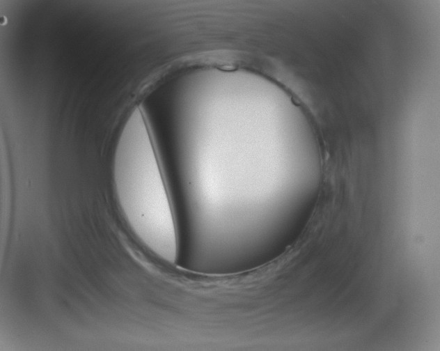 X0000083580013200702090853