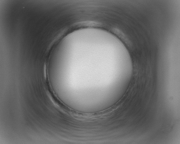 X0000083580014200702090853