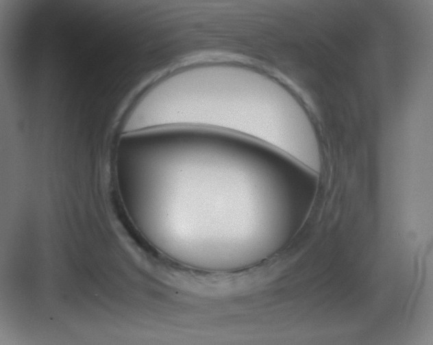 X0000083580015200702090853