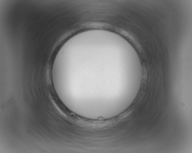X0000083580016200702090853