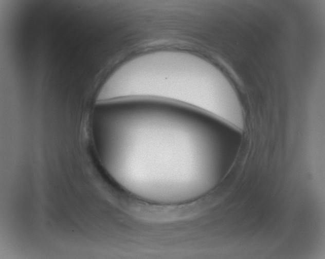 X0000083580023200702090853