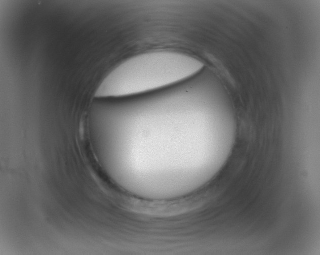 X0000083580026200702090853