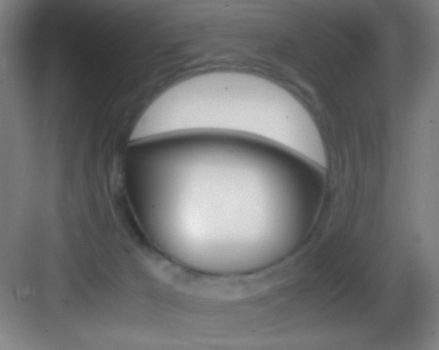 X0000083580029200702090853