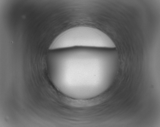 X0000083580034200702090852