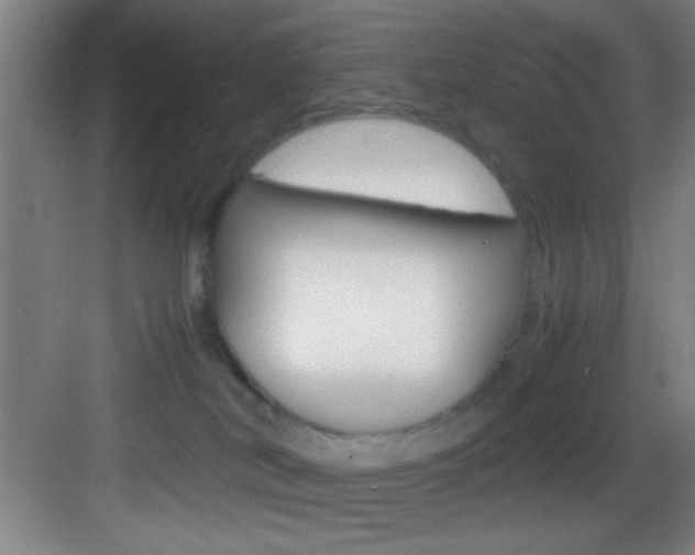X0000083580038200702090852