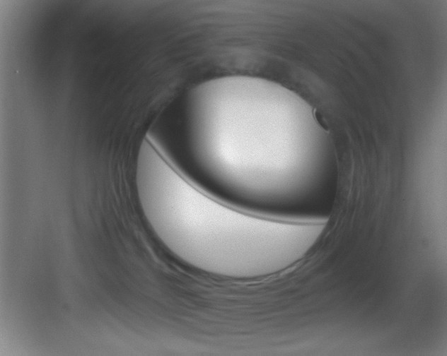 X0000083580040200702090852