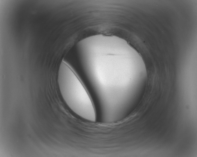 X0000083580044200702090852