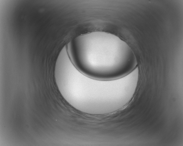 X0000083580045200702090852