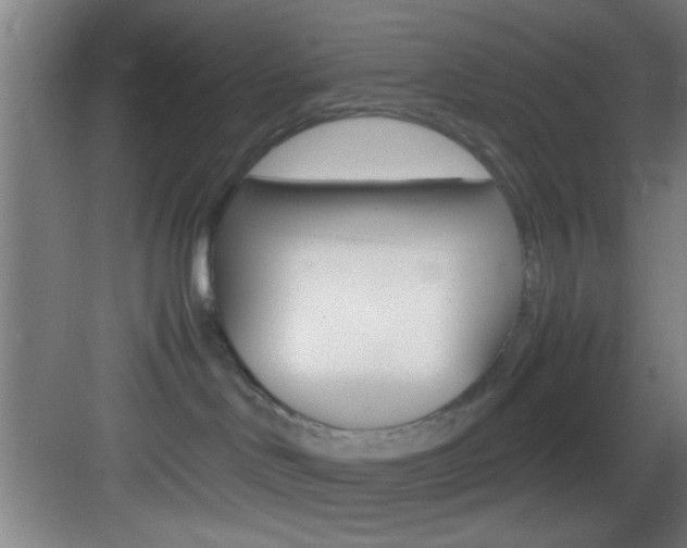X0000083580046200702090852