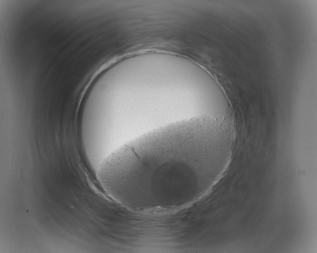 X0000083580050200702090851