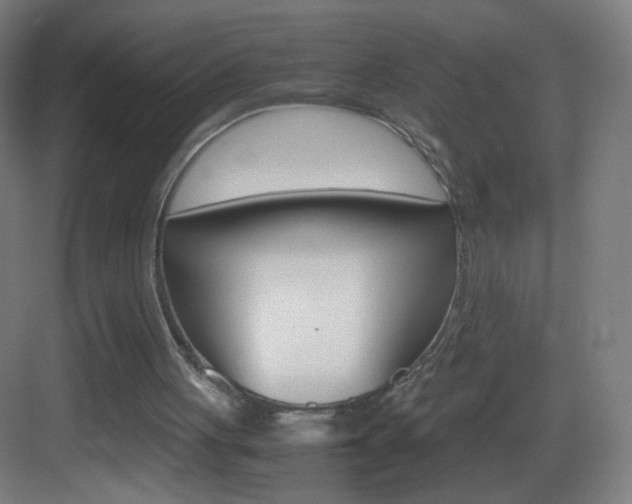 X0000083580051200702090851