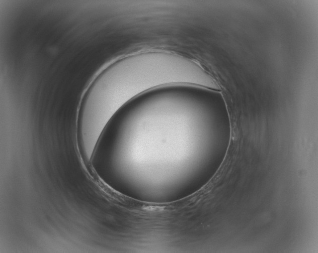 X0000083580052200702090851