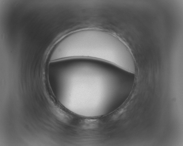 X0000083580055200702090851