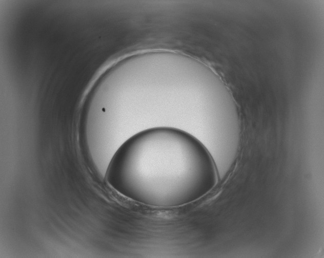X0000083580056200702090852