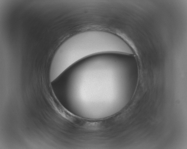 X0000083580057200702090852